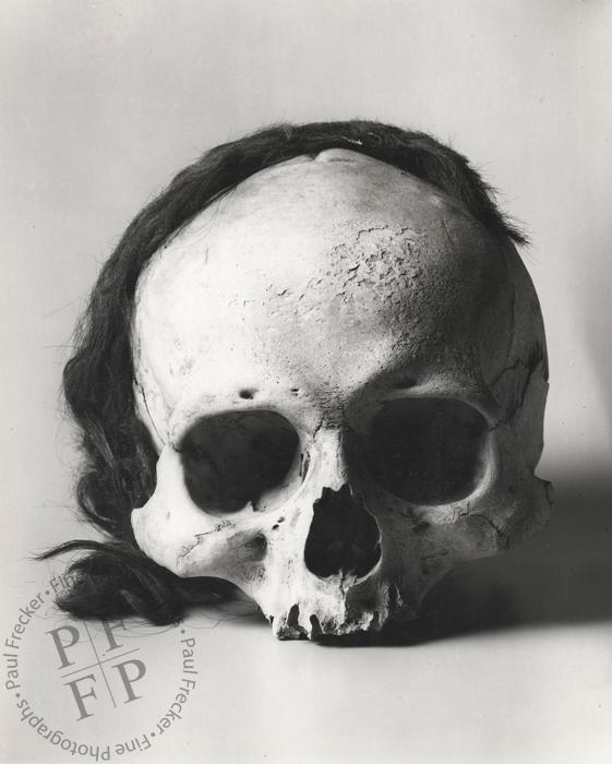 Costa Rican skull