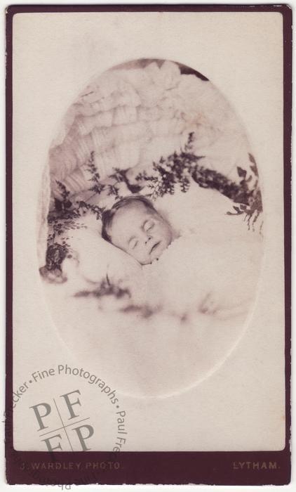 Infant with fern fronds