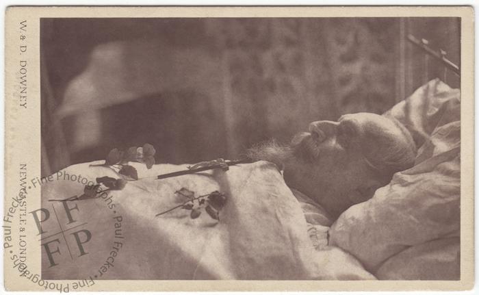 Napoléon III, 1873