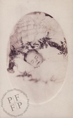 Infant with fern fronds