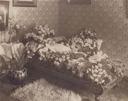 Child surrounded with flowers